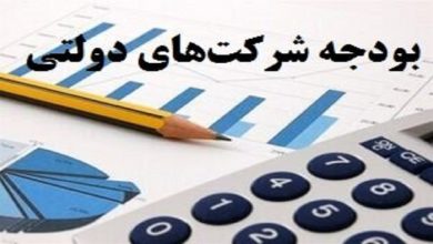 شرکت‌های دولتی