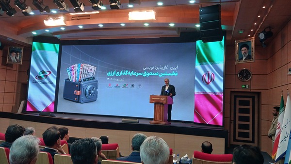صندوق ارزی